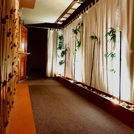 假日温泉酒店